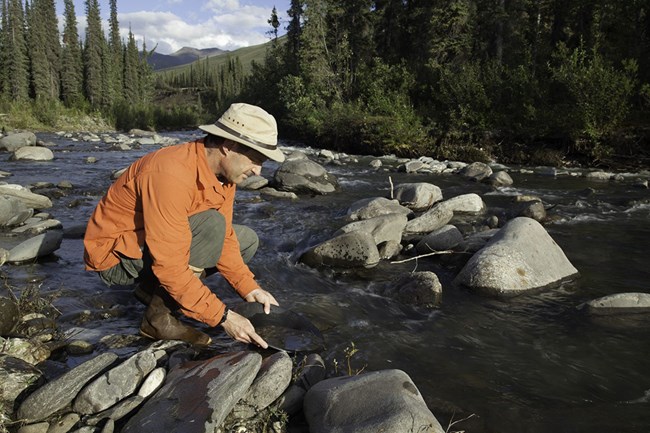 A person holding a round gold pan in a stream. Trees and mountains in background.
