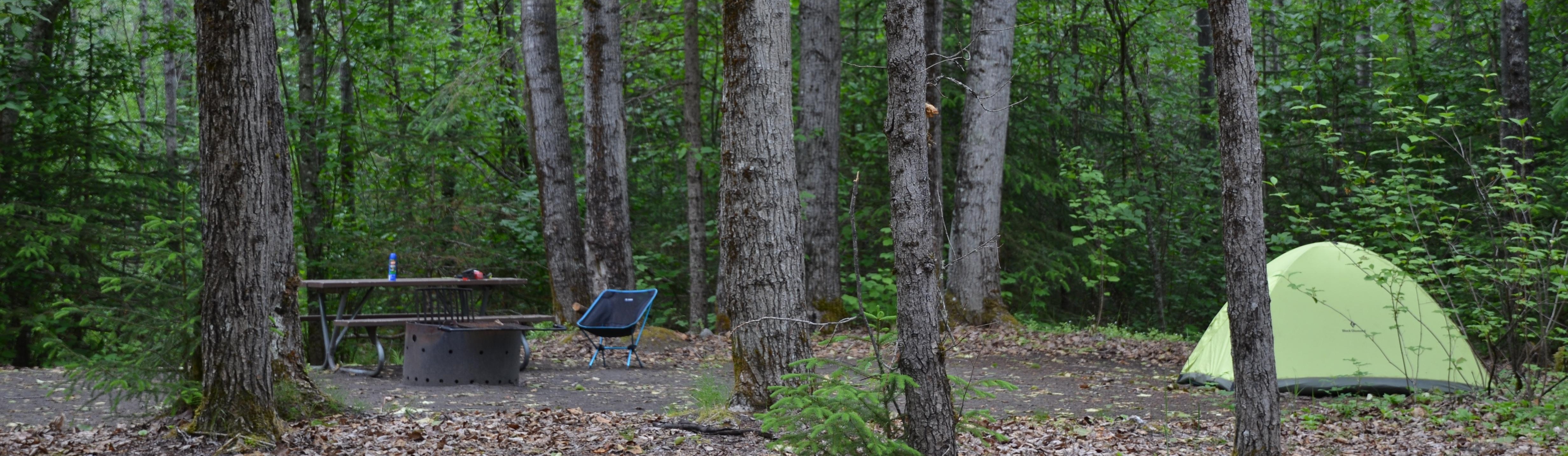 Lime green tent on the right in stand of trees, picnic table on the left.