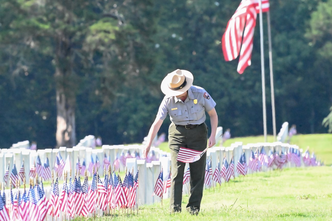 Park Ranger picking up American flags that are placed in front of headstones.