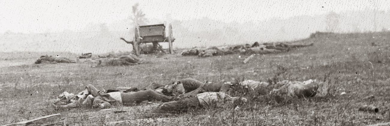 Antietam Casualties