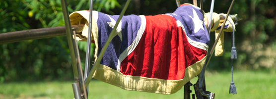 Confederate Battle Flag