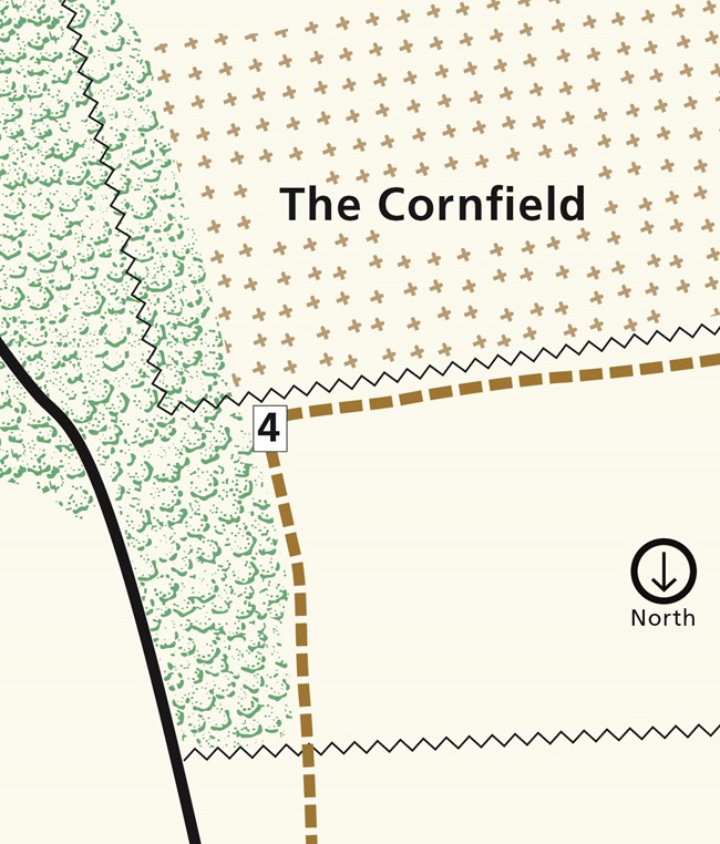 Cornfield Trail GuideStop 4 Antietam National Battlefield (U.S