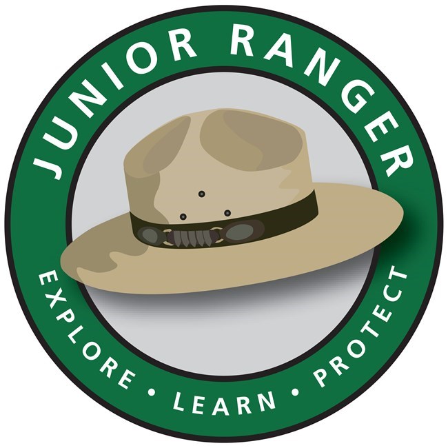 Vector art with tan ranger stetson-style hat in center with green circle around it. White letters in the green band read: Junior Ranger: Explore, Learn, Protect