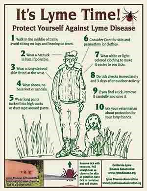 Tick Safety