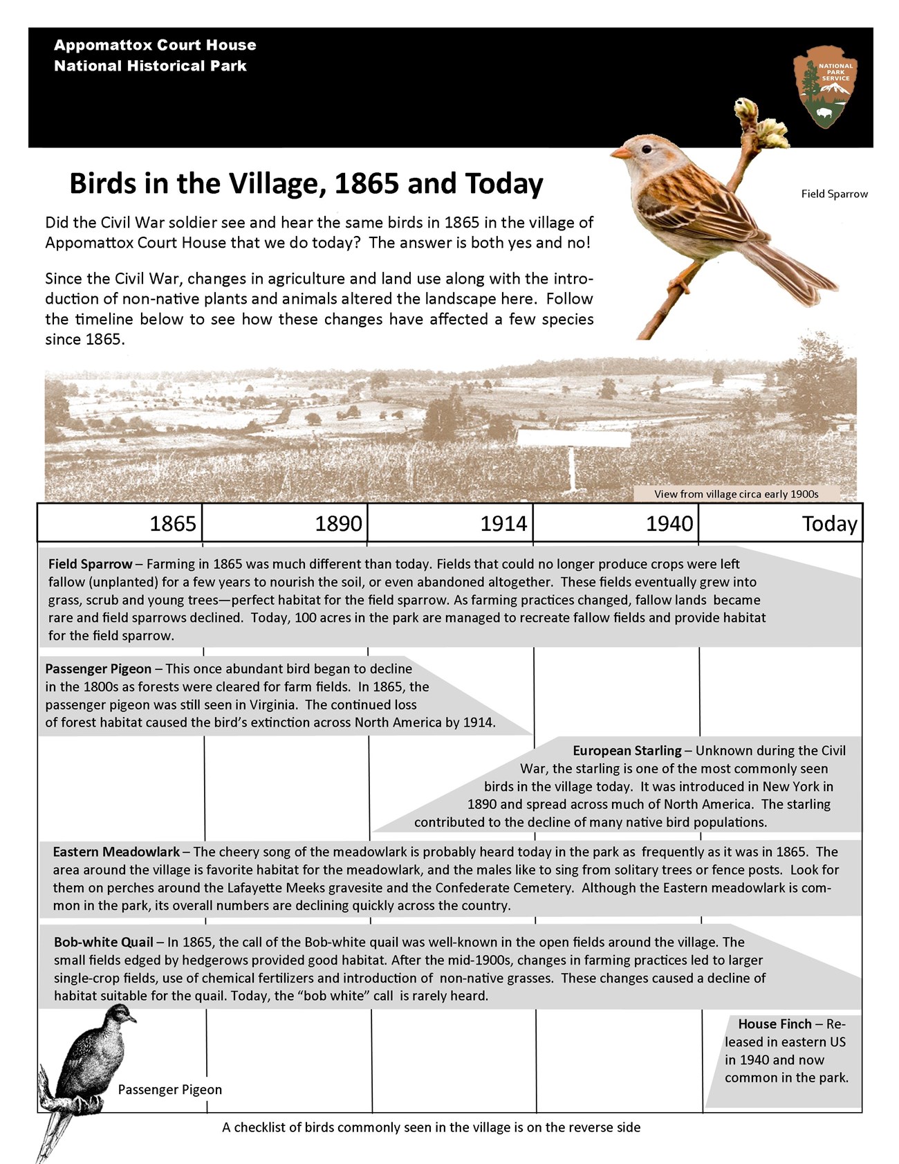 Description of birds in the park between 1865 and today.