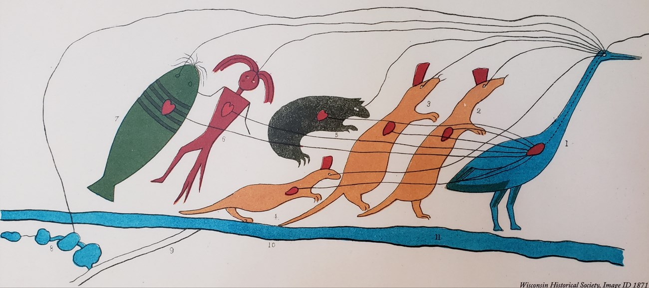 Copy of Ojibwe drawing of symbolic clan animals tied by lines to blue wild rice lakes.