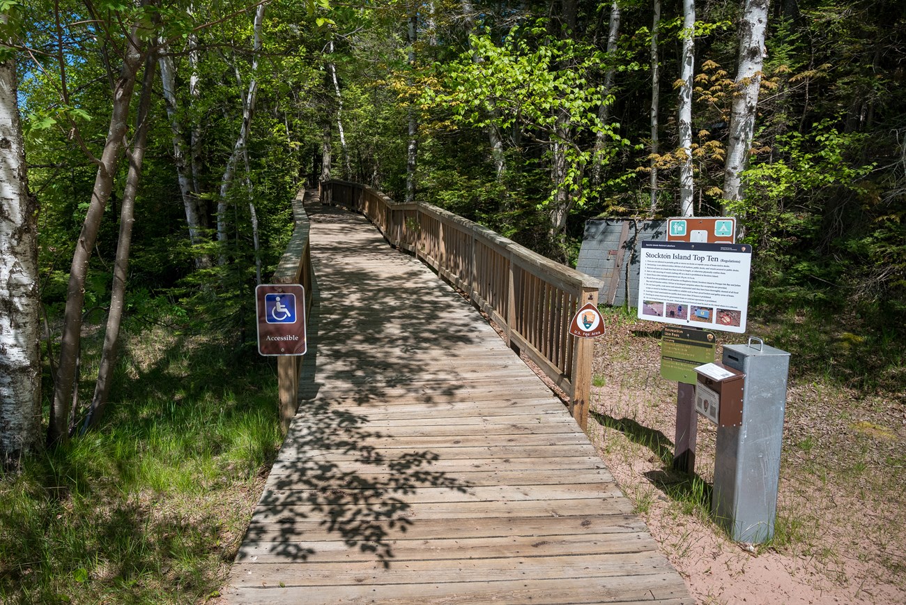 Photograph of wooden ramp leading into woods.