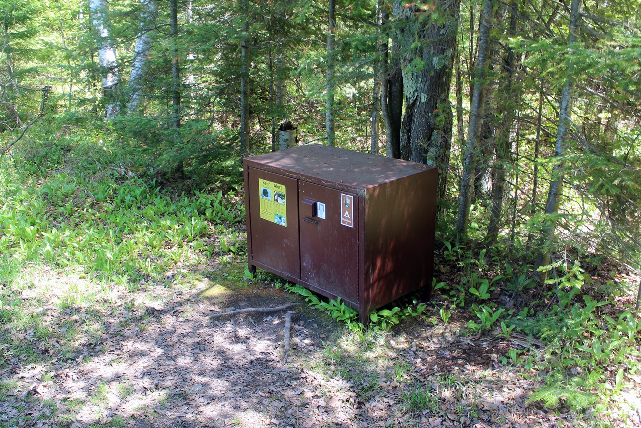 Photograph of a brown metal box on the ground in front of green trees.