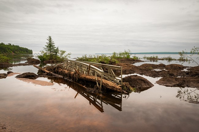 Photograph of plant and soil debris in shallow lake water including a metal foot bridge. Background shows a large lake with a distant tree-lined shore.