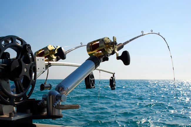 Photograph of two fishing poles on the back of boat.