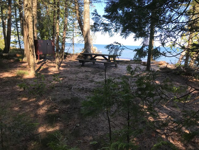 A forested campsite with a metal fire ring and bear proof box, with a view of the lake.