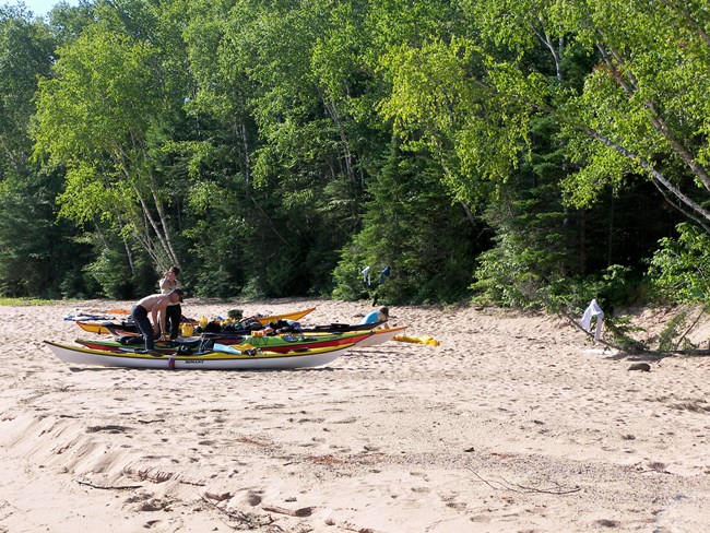 4 kayaks and people lined up on a sand beach in front of a forest.