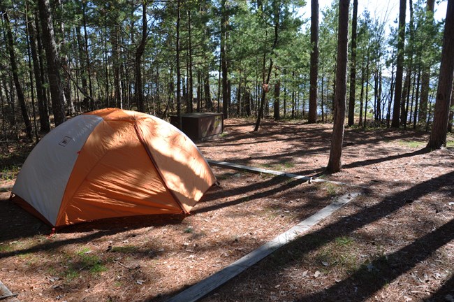An orange tent set up in a forest camp site.