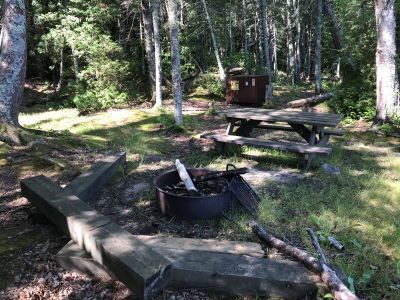 A forested campsite with a metal fire ring and bear proof box.