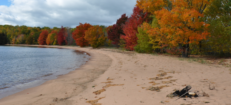 A sandy shoreline next to a forest changing into fall colors or red, yellow, and orange leaves.