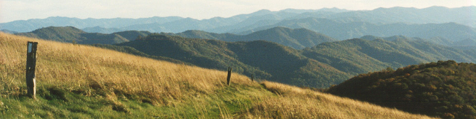 Max Patch
