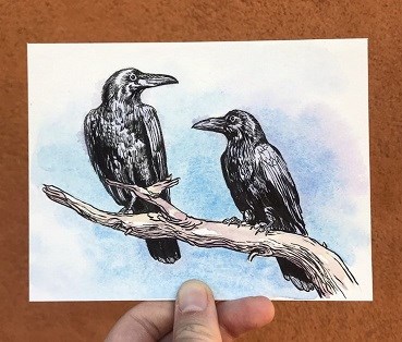 watercolor illustration of two ravens on a branch
