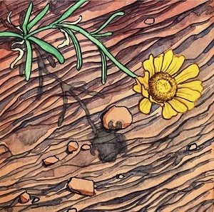 in a painting, a single yellow flower grows over layers or red rock