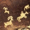 A dark brown rock with four white rock art images of bighorn sheep, people, and horses engraved on the surface.