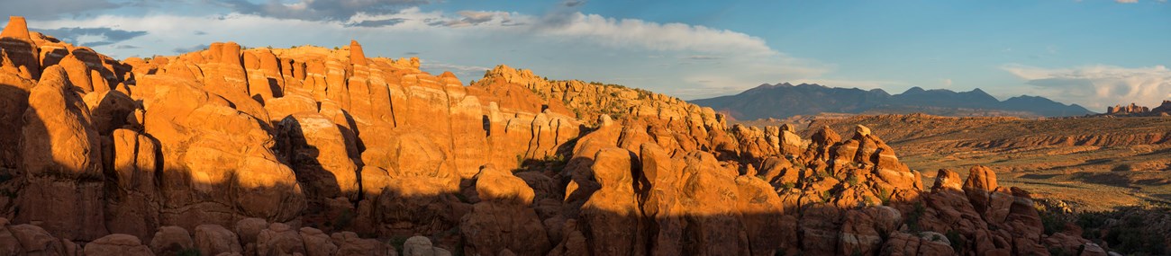 View of an area of orange-red sandstone fins and mountains in the distance.