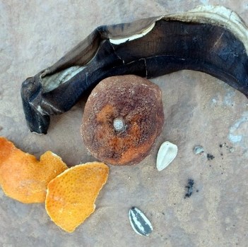 An old brown banana, the dried up peel of an orange, a hardened orange, and black sunflower seeds sit on red pavement.