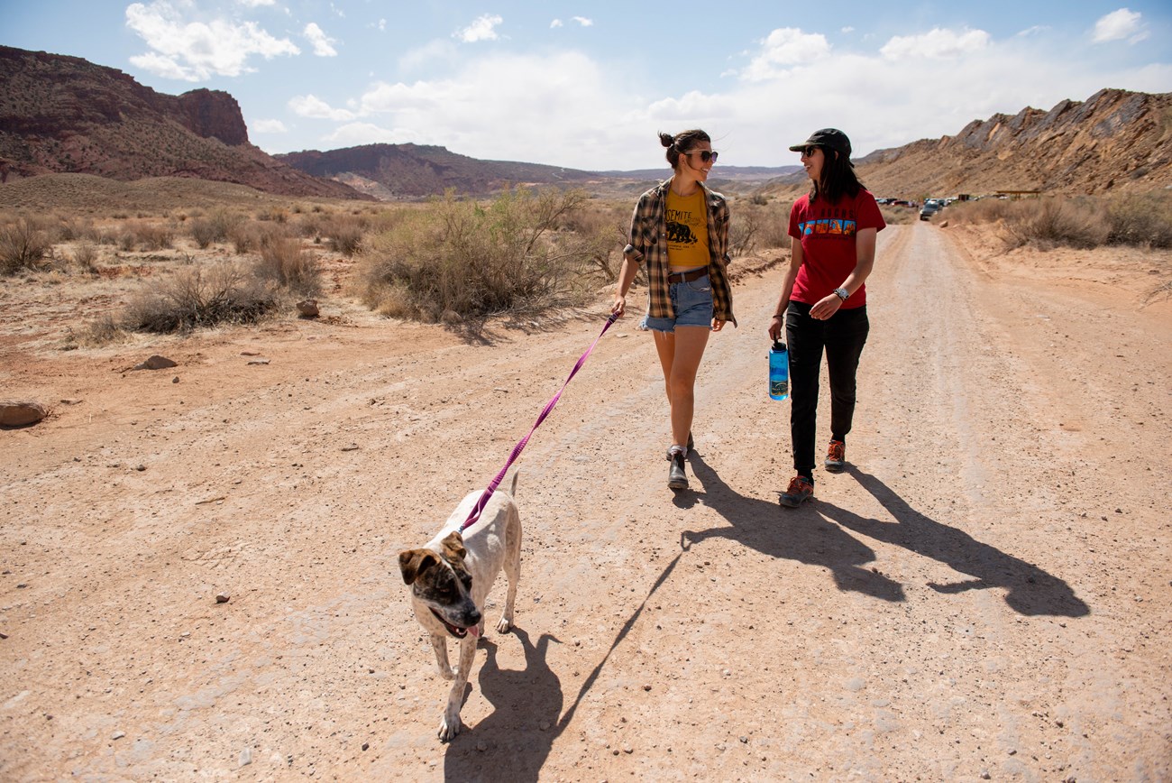 Two people talk and walk their leashed dog on a sunny day along a dirt road lined with low-lying green vegetation.