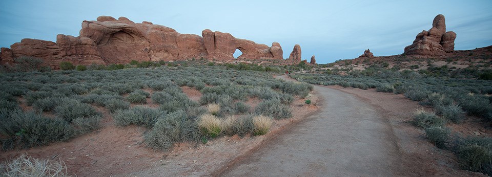 A hard surface trail  winds through green low-lying vegetation. In the distance, the trail leads to tall striking rock formations, including an arch. The rock is varying colors of red and tan. The sky is blue.