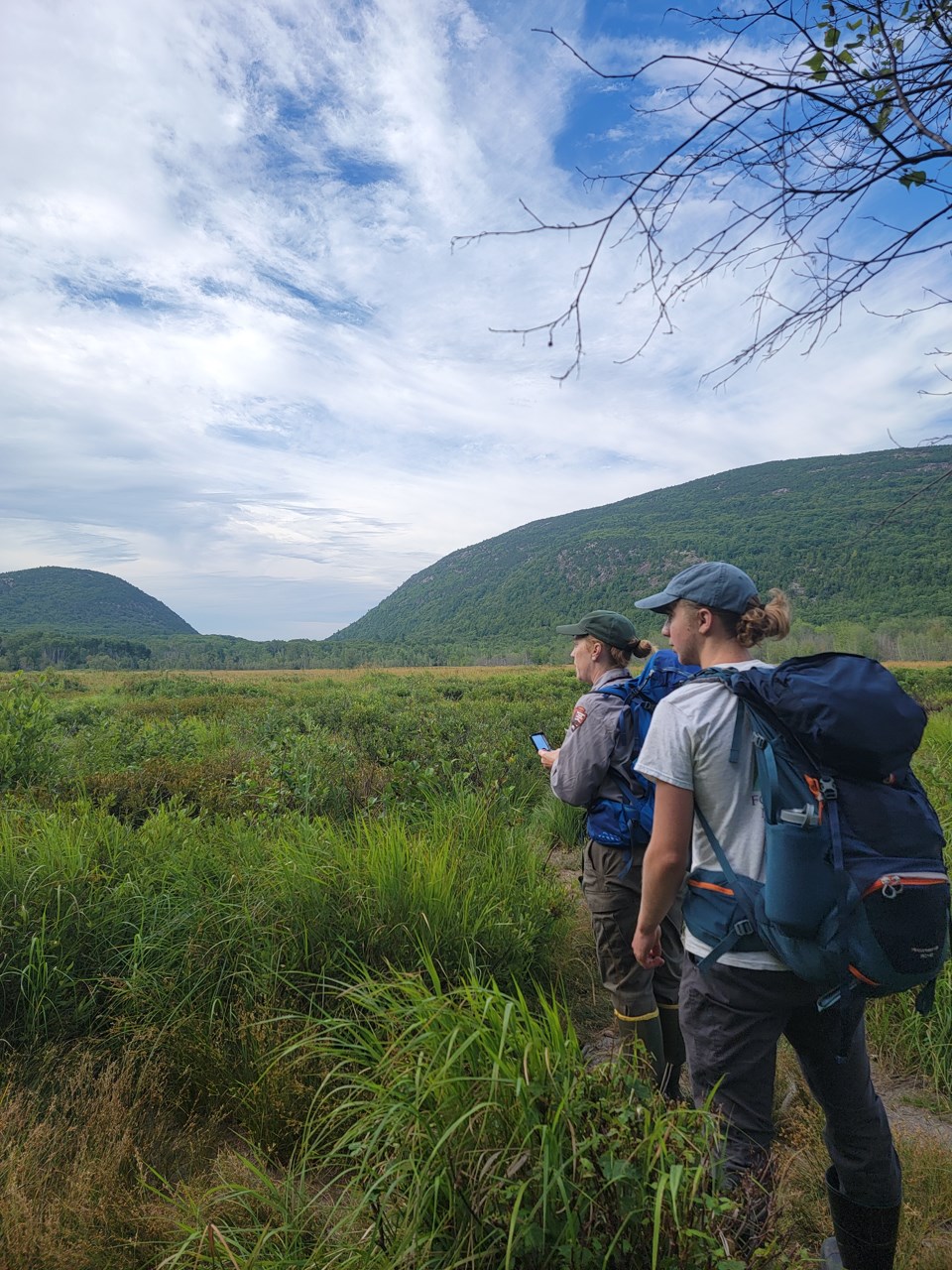 two people with backpacks stand in a green meadow wetland with rolling mountains in the background