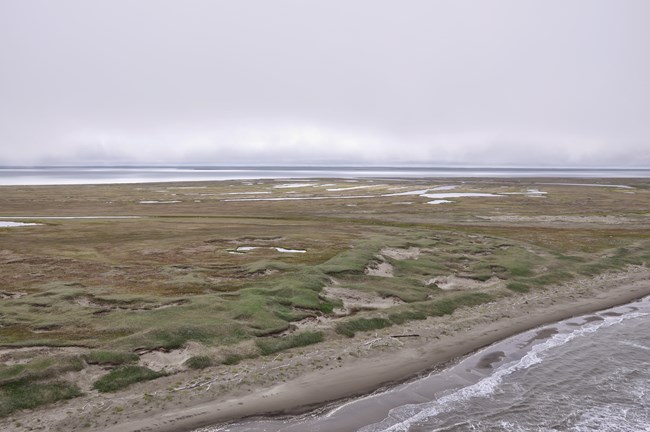 Barrier islands and spits face the ocean over much of Bering Land Bridge National Preserve and Cape Krusenstern National Monument. Coastal dunes covered with grass rise behind the beach, with salt marshes behind adjacent to lagoons. The pristine condition