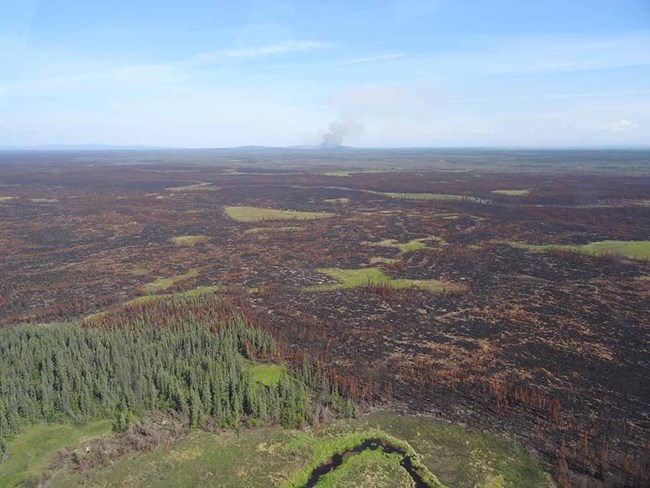 A burned area of tundra