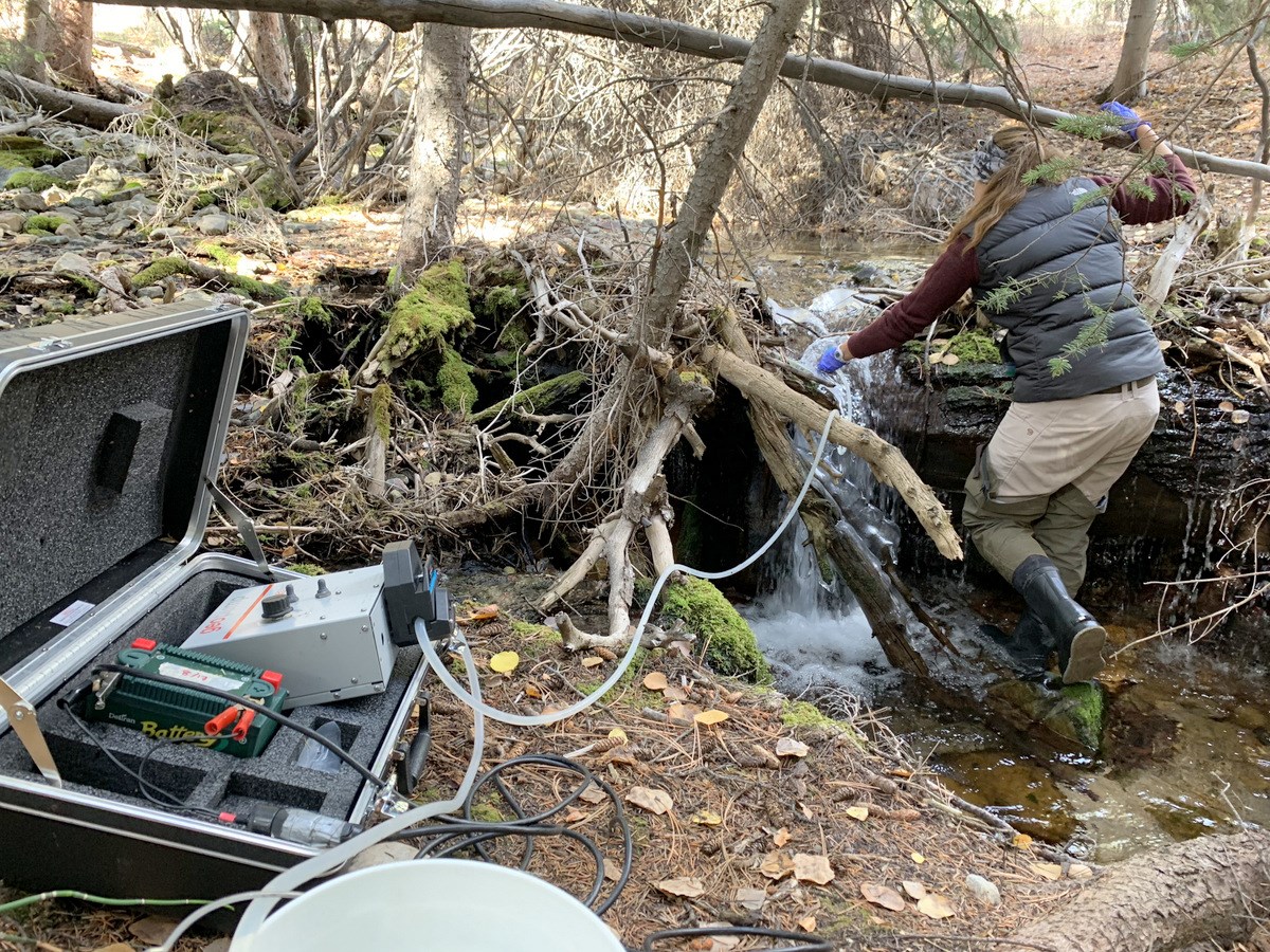 A park staff member standing in a stream