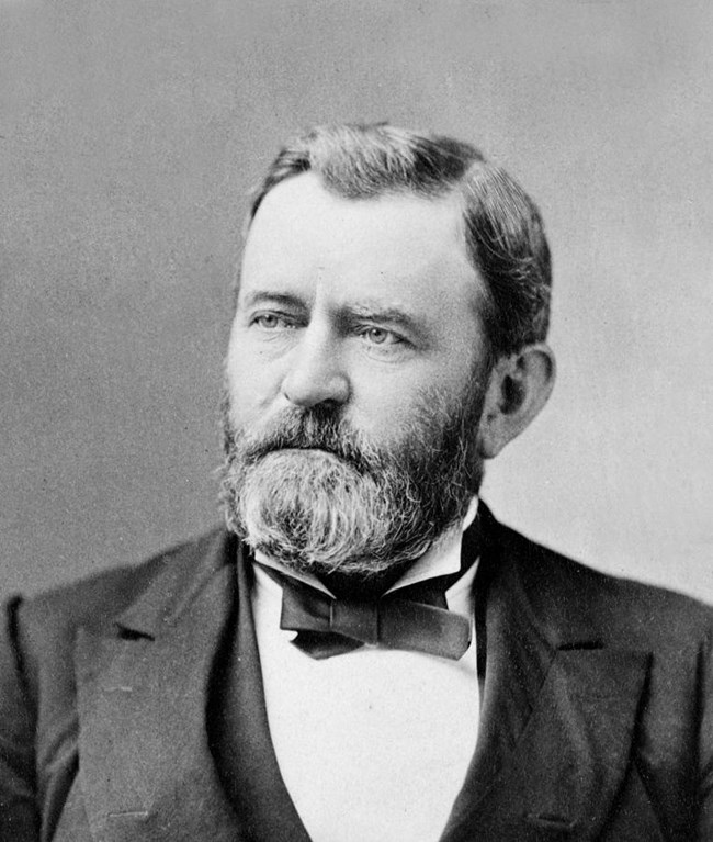 Bearded Man wearing suit with bowtie.