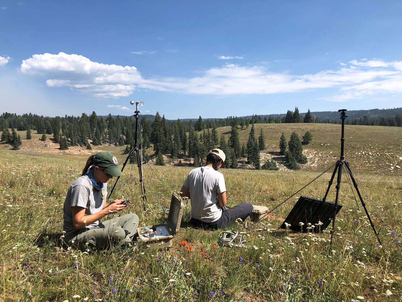 Two girls sit in a meadow with equipment in boxes and on tripods scattered around them.