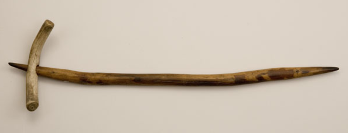 A smooth, slightly curved brown stick lies horizontally on a table. It  has a short handle at the left-hand end, which is made of light-grey bone.  The right-hand end has a slightly pointed tip.