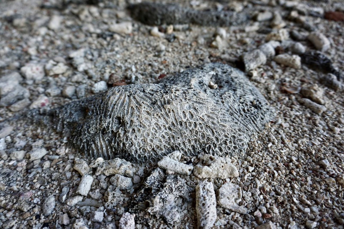 Photo of a scattering of rocks.