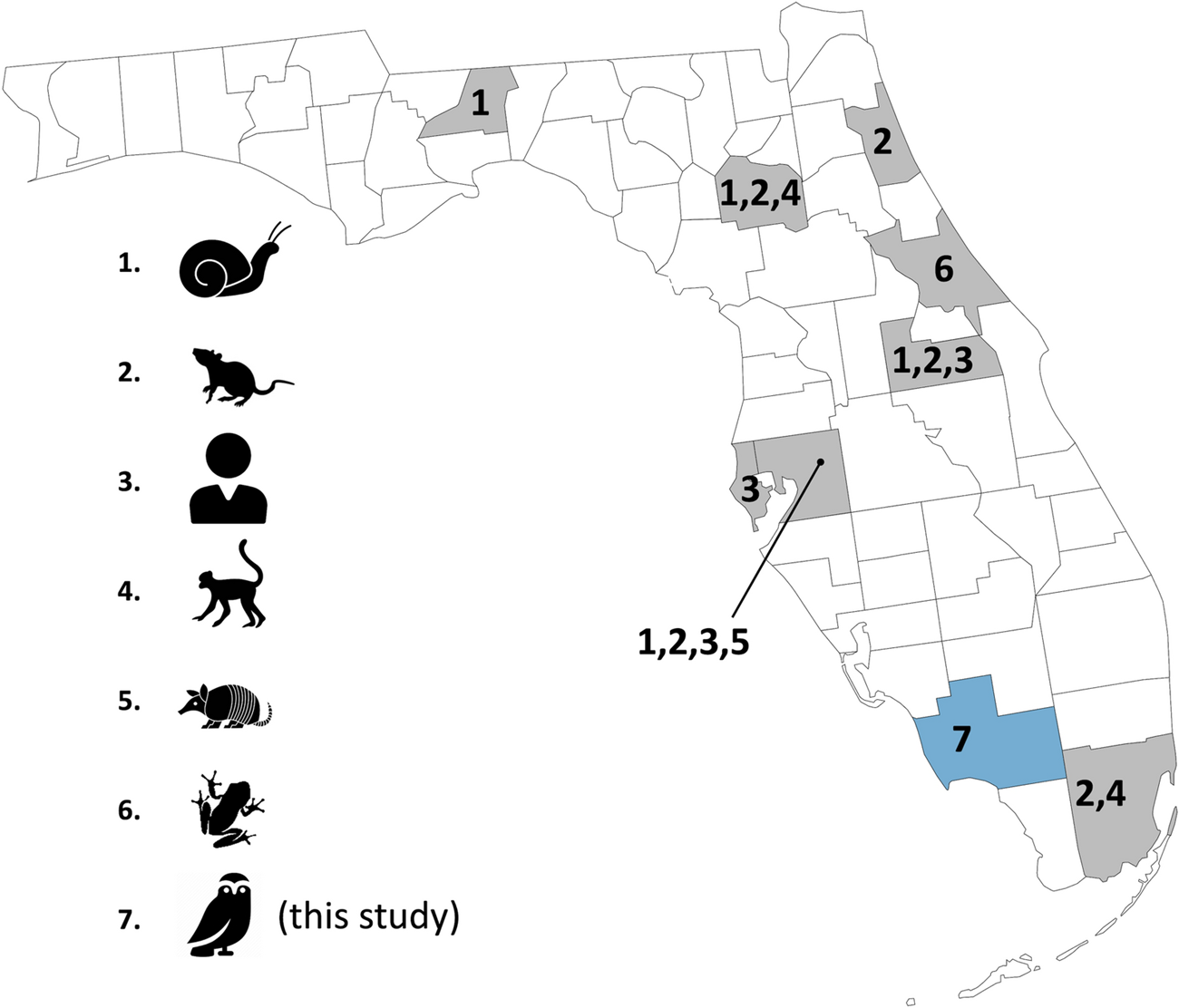 Map of Florida subdivided by county, with numbered icons for infected animals: 1) mollusks; 2) rats; 3) humans; 4) primates; 5) armadillos; 6) frogs; and 7) owls. One or more numbers appear in scattered counties. #7 is in the state's southwest corner.