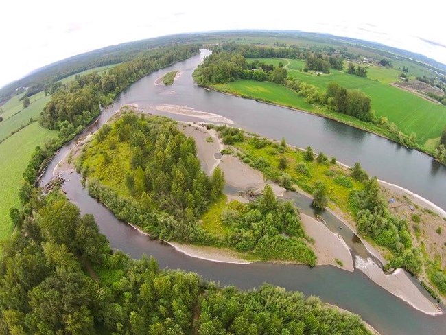A wide-angle, aerial photo high above the river as it passes through the Willamette Valley, showing several tree-covered, sandy islands and the surrounding agricultural land covered in green crops.  Trees line both sides of the river’s banks.