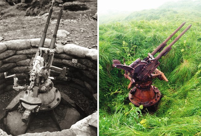 Two photos of the same type of large, twin barreled gun. One is black and white and the other is of the rusted gun in a grassy field.