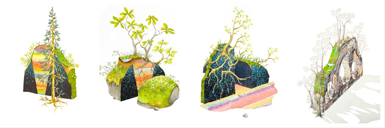 Watercolor paintings of trees and rocks