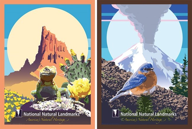 Two graphic illustrations. One of a lizard in the desert the other of a bluebird with volcano in background