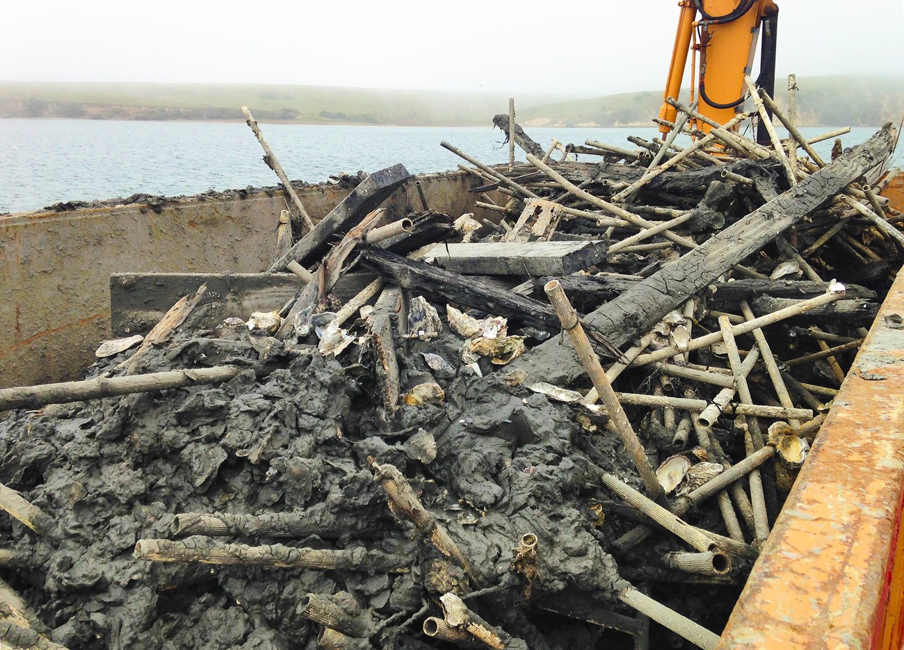 A pile of plastic tubes, metal wire, treated wood, and oyster shells in a big orange metal container, with a foggy but beautiful bay behind it.