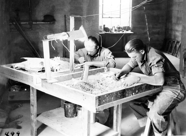 Two men clean fossils in a black and white photograph.