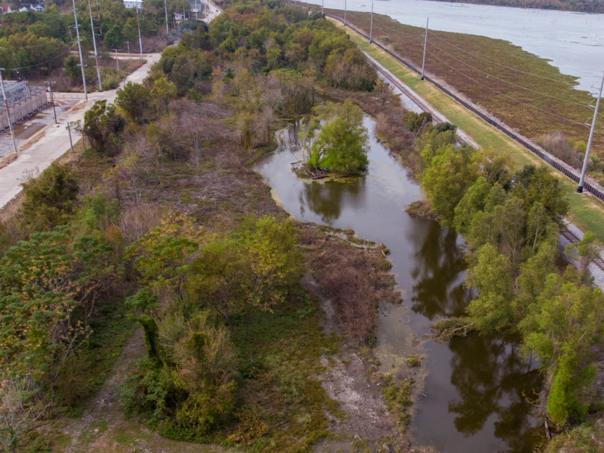 Sankofa Wetland Park as seen from above