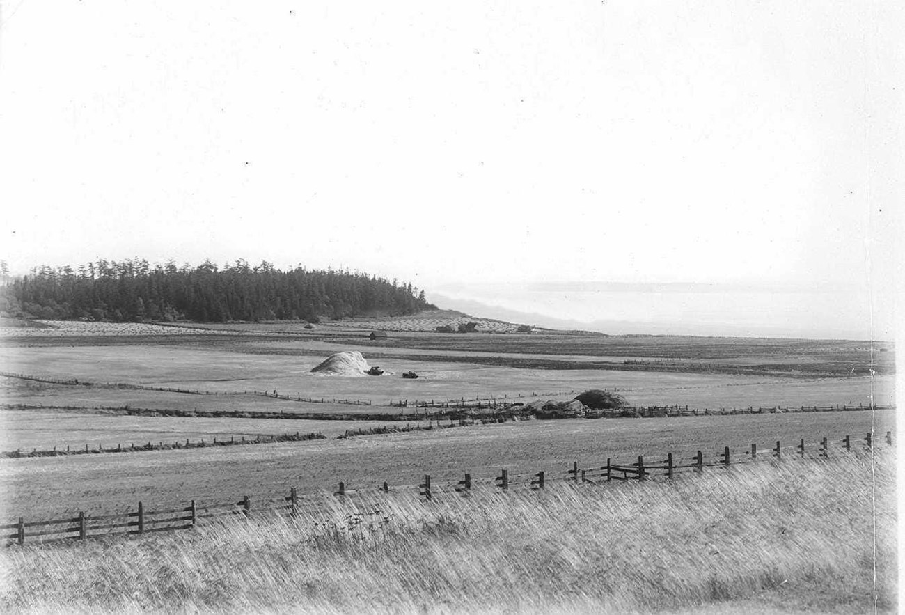 Prairie lands with fencing and water body in the background.