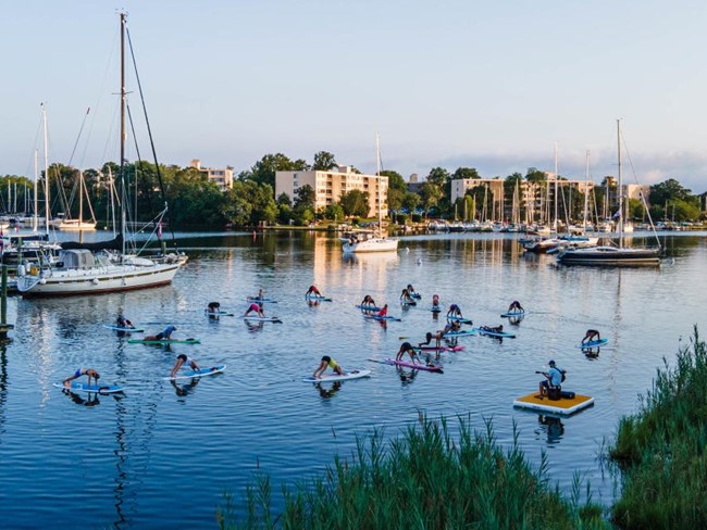 People practicing yoga on paddleboards in a calm waterfront setting with docked sailboats and residential buildings in the background.