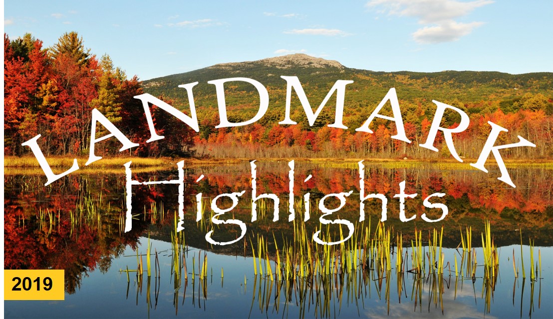 Cover photo for Landmark Highlights report