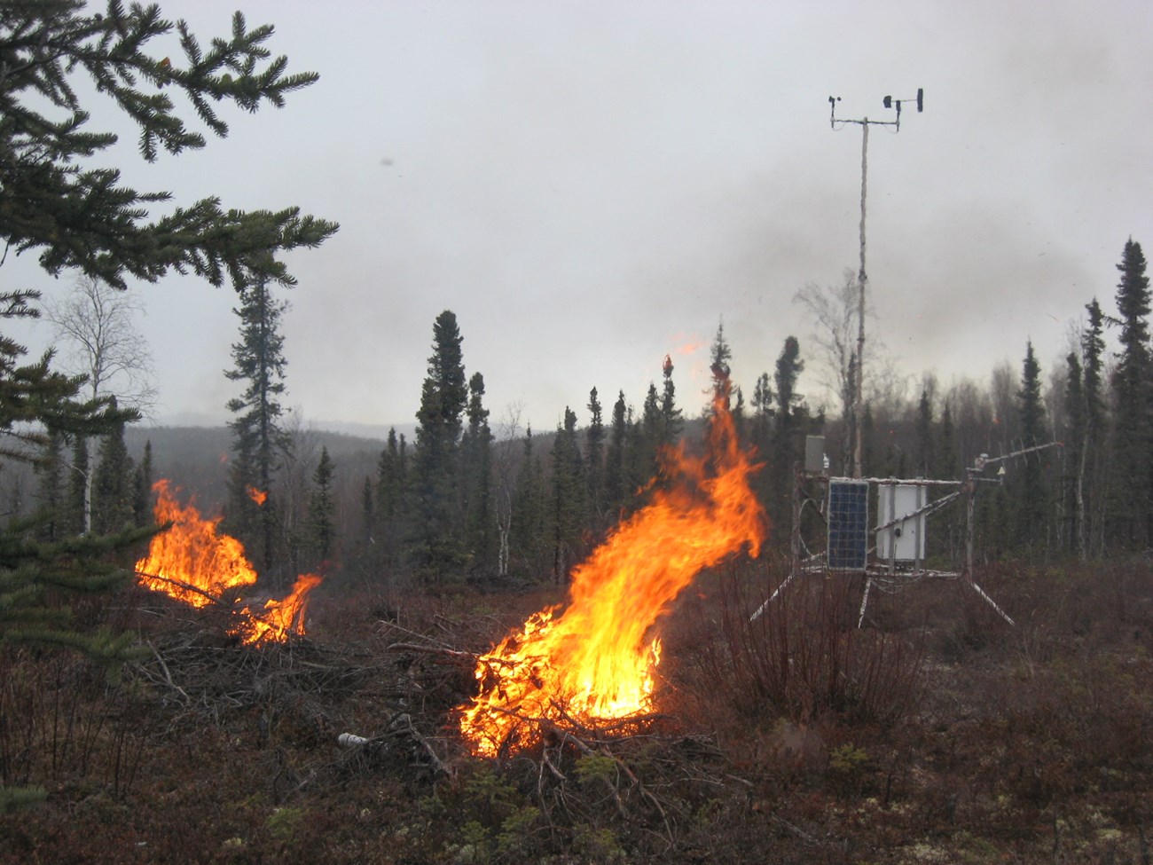 A piece of metal equipment sits near a pile of logs on fire in the woods.