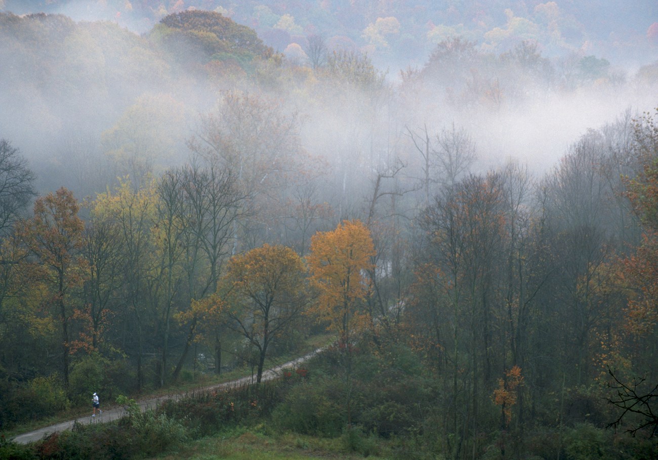 A runner follows a flat trail along a waterway through foggy, autumn trees.