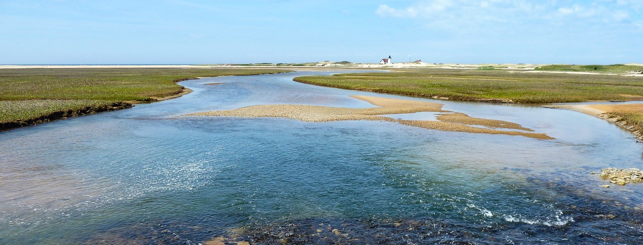 salt marsh and and dunes and a lighthouse in the background