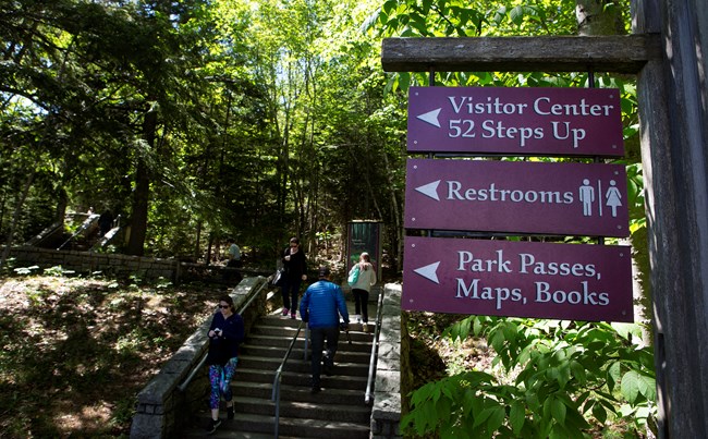 Stone steps with overgrown vegetation and signs